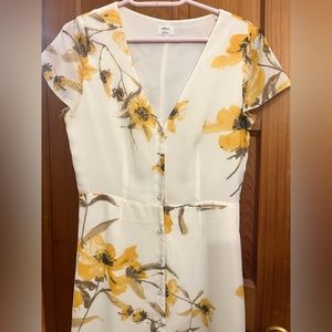 Aritzia Dress